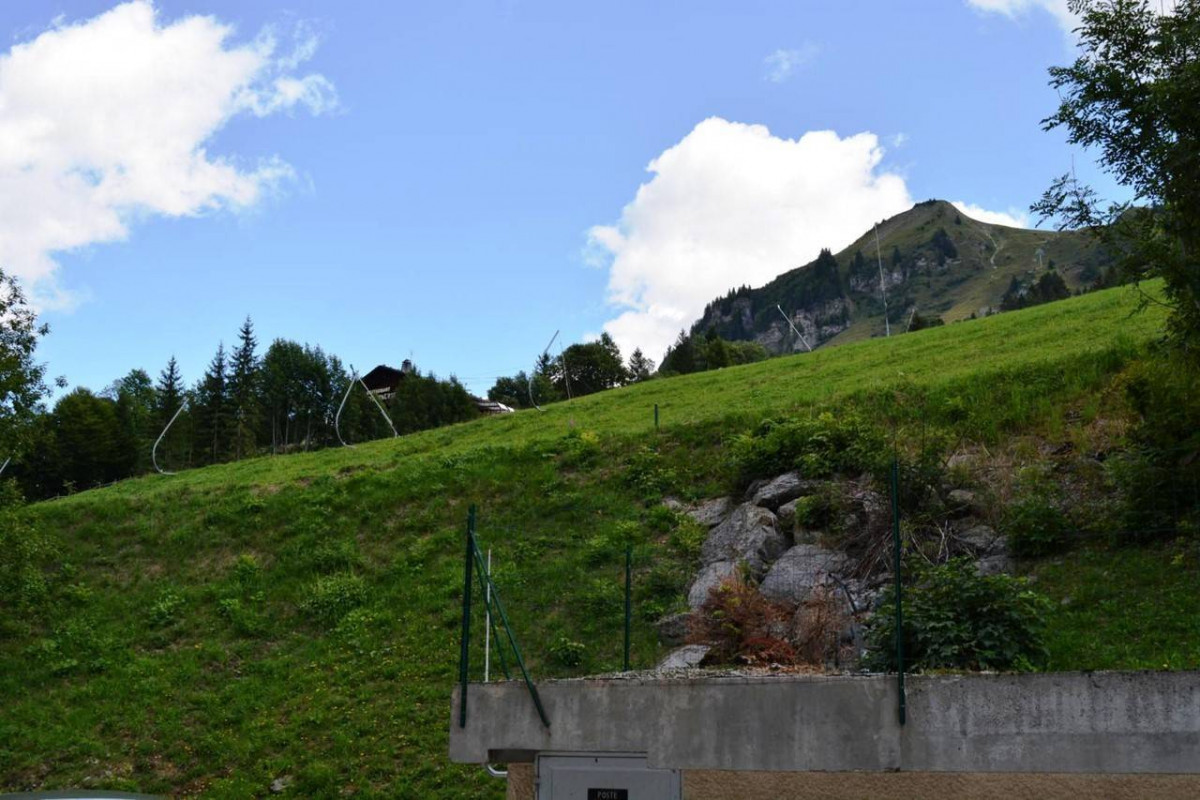 _clients_227445002_photos_9973r_4924772 _clients_227445002_photos_9973r_4924772