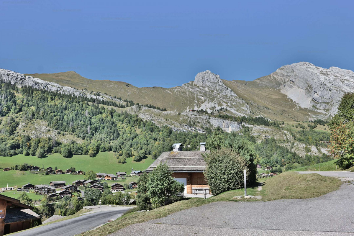 _clients_227445005_photos_101t_5413209