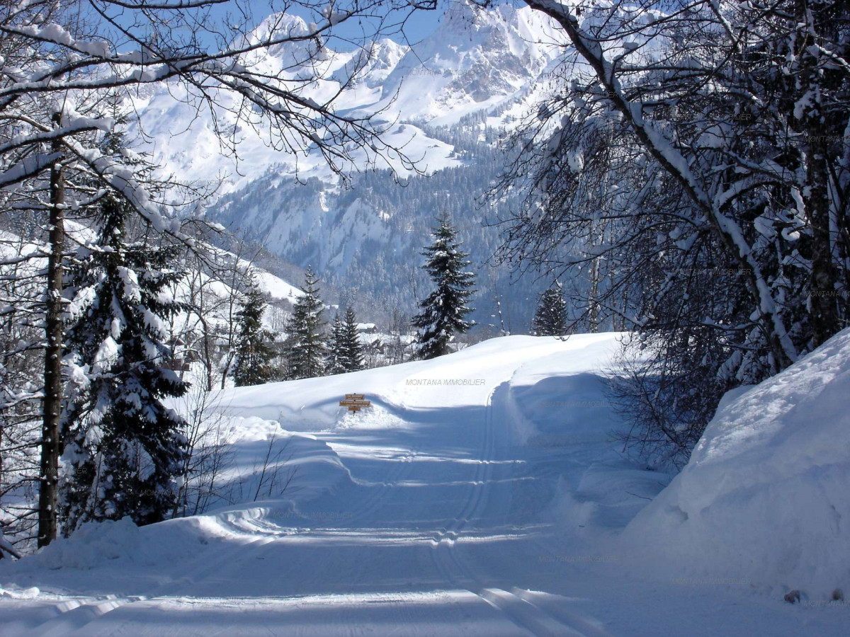 _clients_227445005_photos_125q_4729990