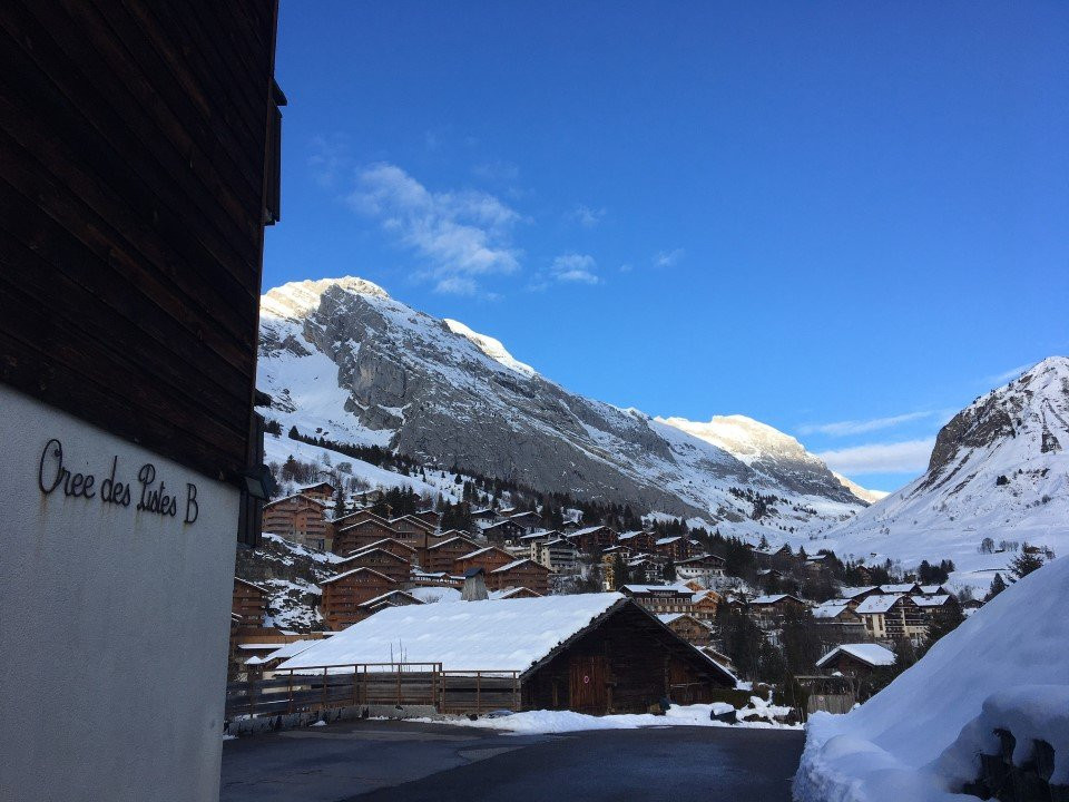 _clients_227445005_photos_137a_4701075 _clients_227445005_photos_137a_4701075