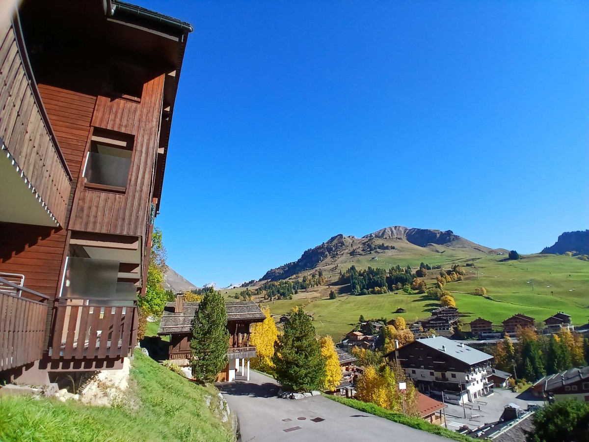 _clients_227445005_photos_141r_4946956 _clients_227445005_photos_141r_4946956