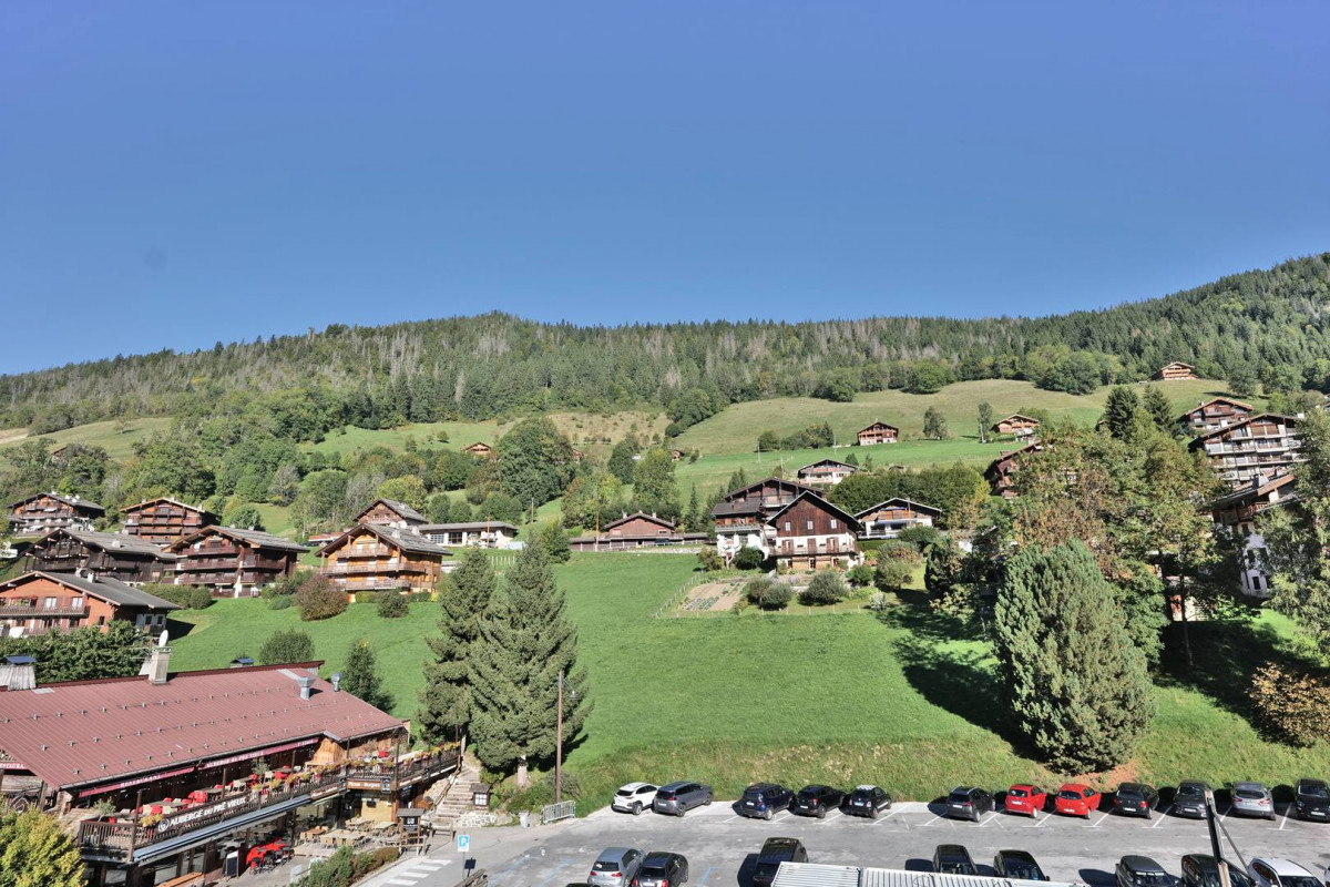 _clients_227445005_photos_175i_4730409