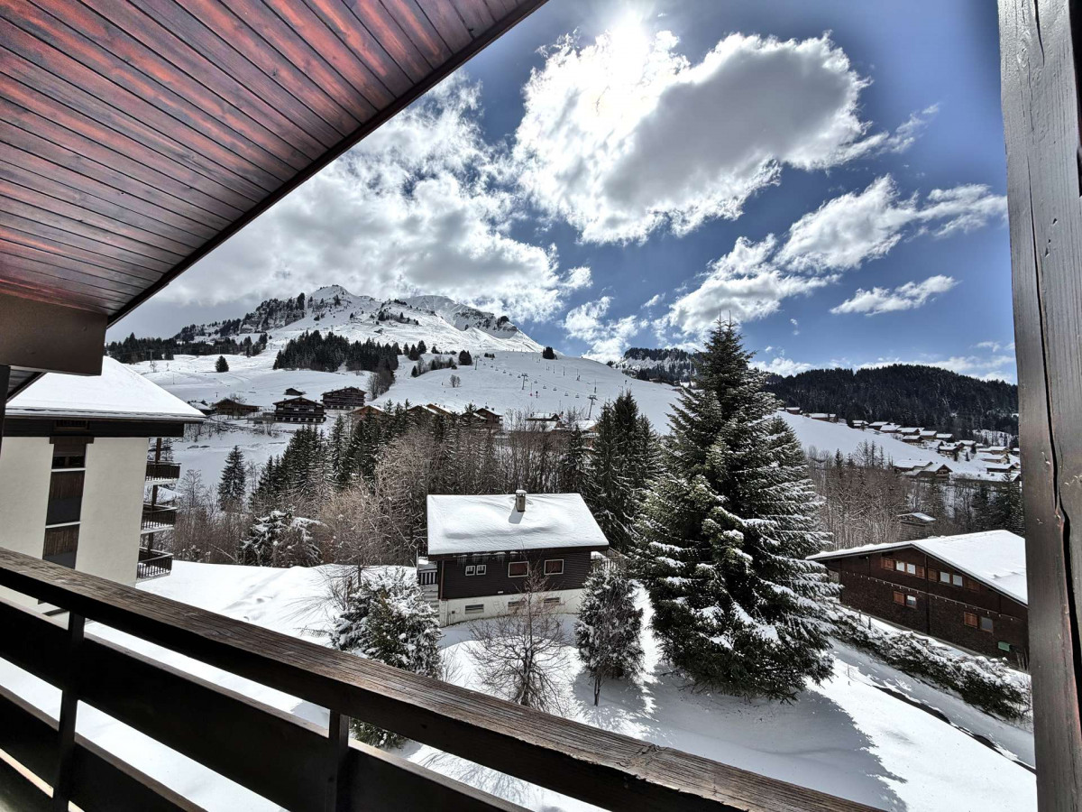 _clients_227445005_photos_228v_5377772 _clients_227445005_photos_228v_5377772