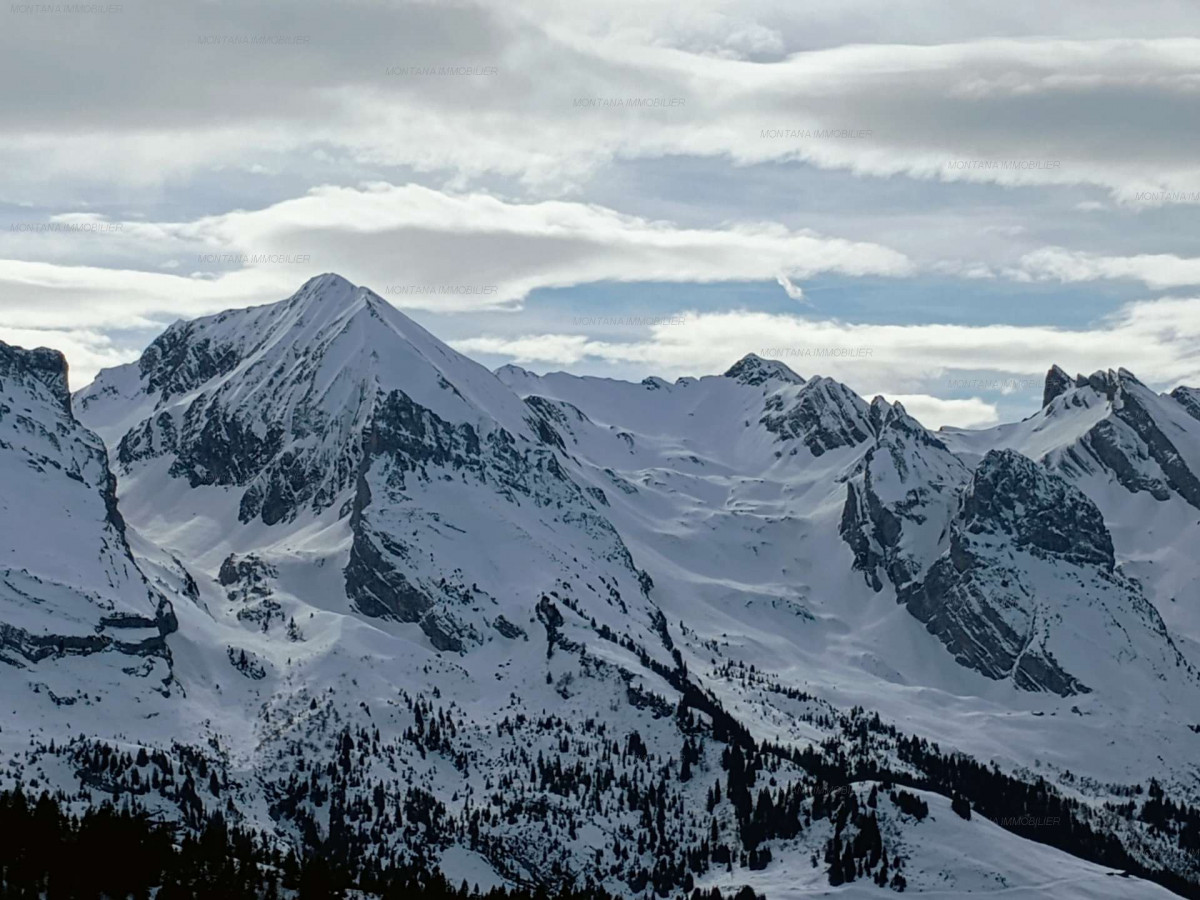 _clients_227445005_photos_238q_4874069 _clients_227445005_photos_238q_4874069