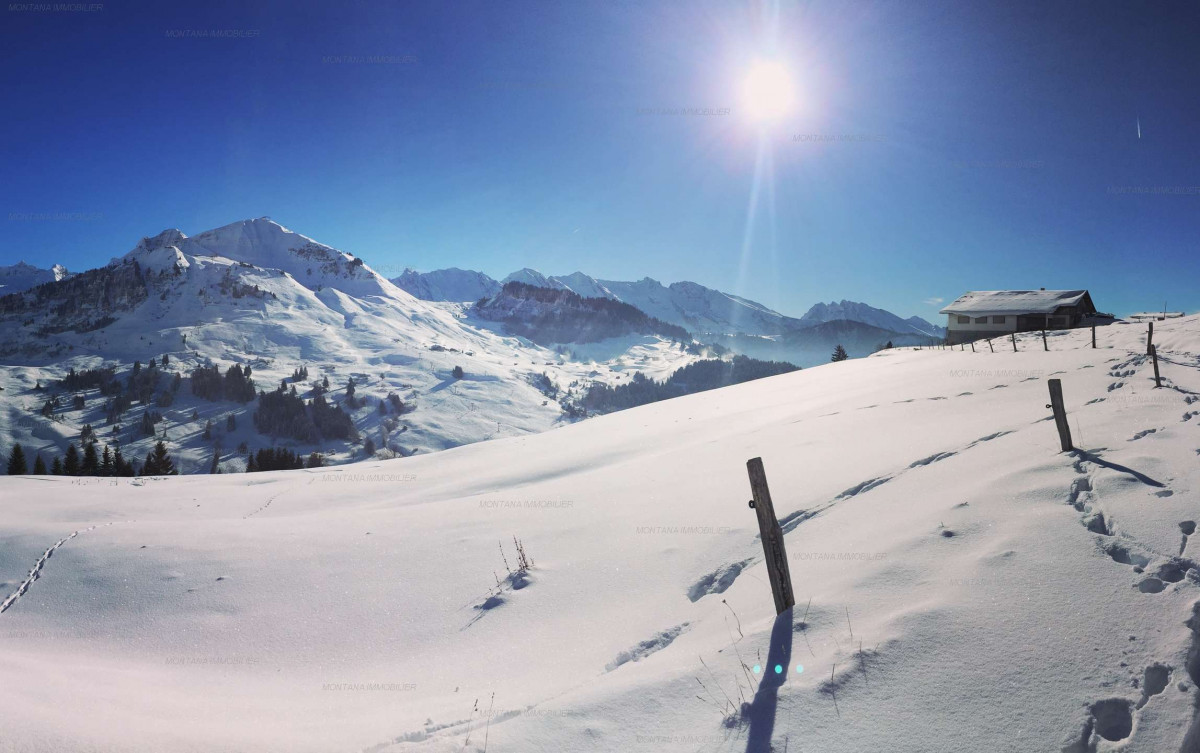 _clients_227445005_photos_243n_4908870