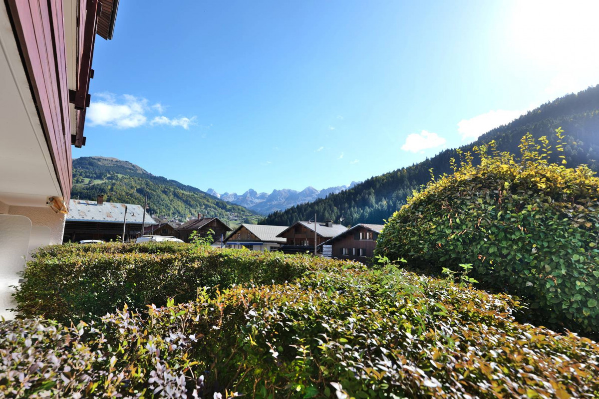 _clients_227445005_photos_244p_4874177 _clients_227445005_photos_244p_4874177