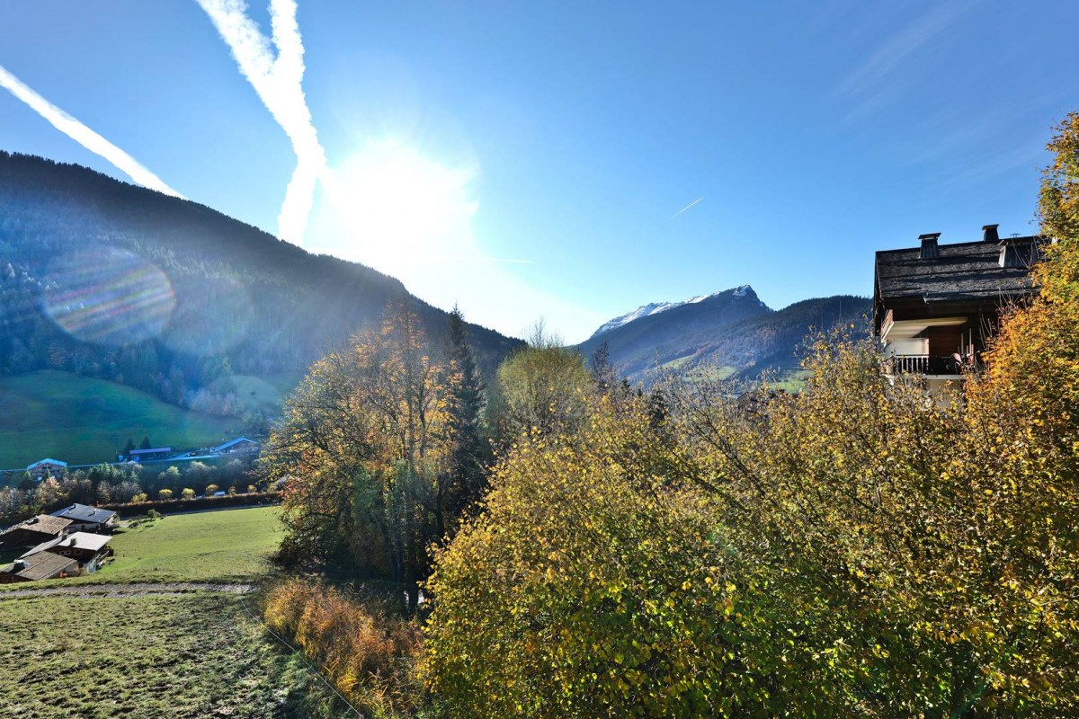 _clients_227445005_photos_246ac_5463927