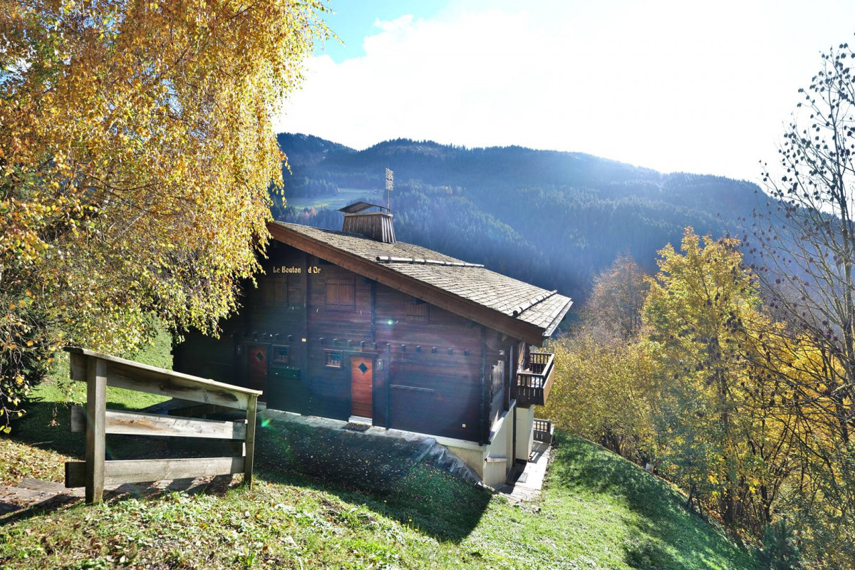 _clients_227445005_photos_246ad_5206636 _clients_227445005_photos_246ad_5206636