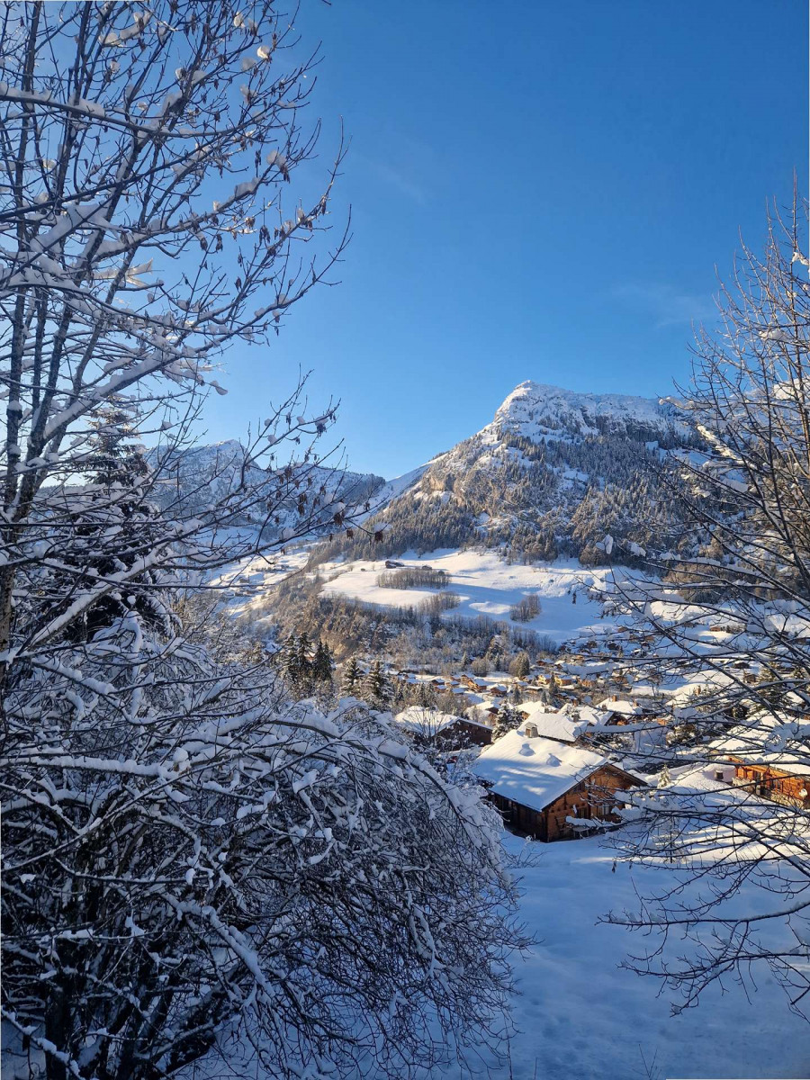 _clients_227445005_photos_247ae_5327981