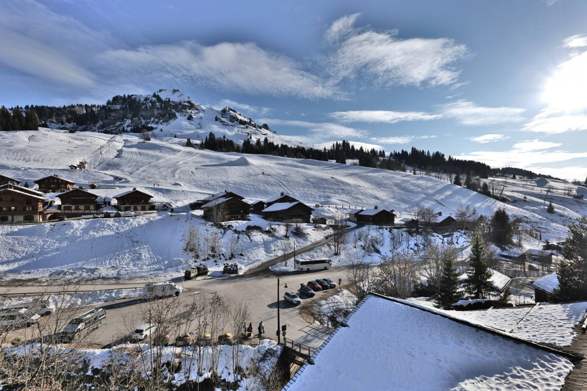 _clients_227445005_photos_251c_5318435 _clients_227445005_photos_251c_5318435