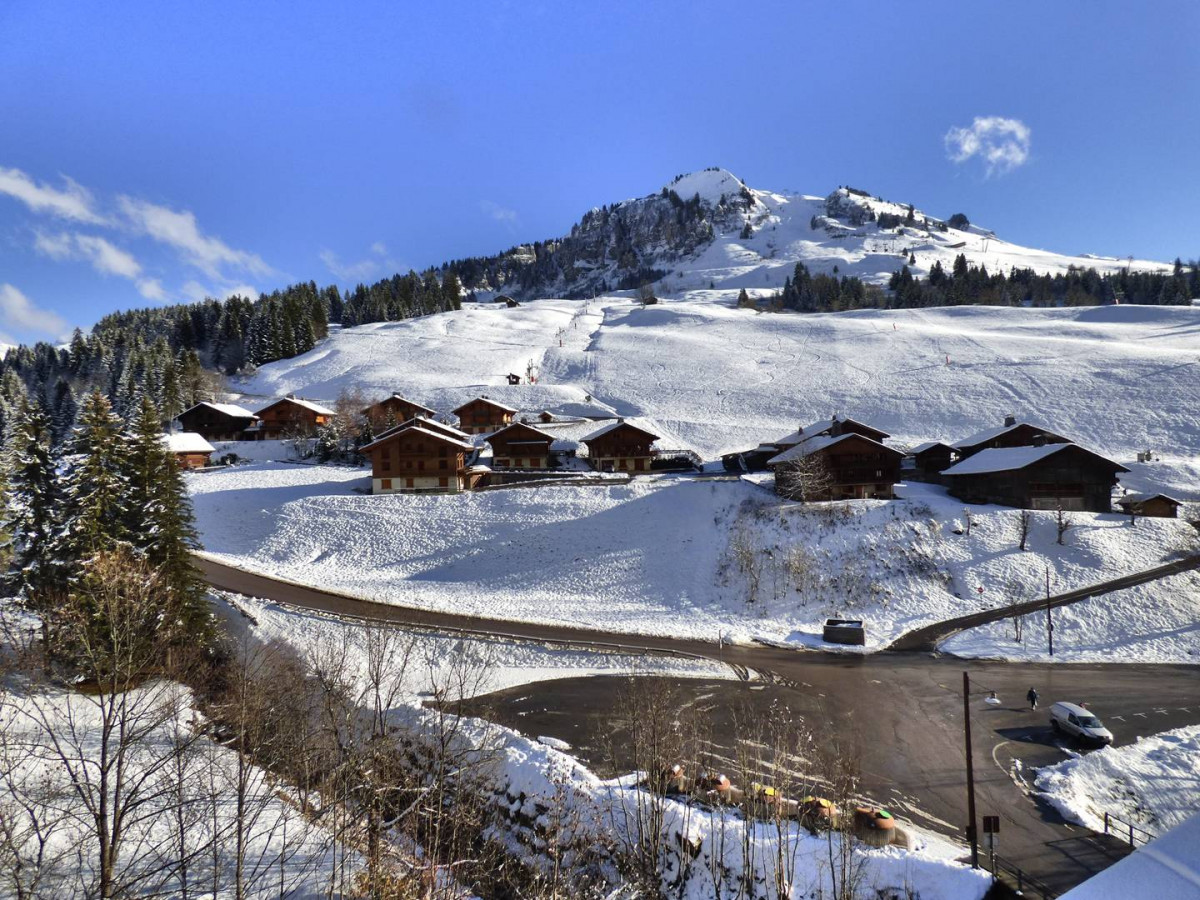 _clients_227445005_photos_251m_4896144