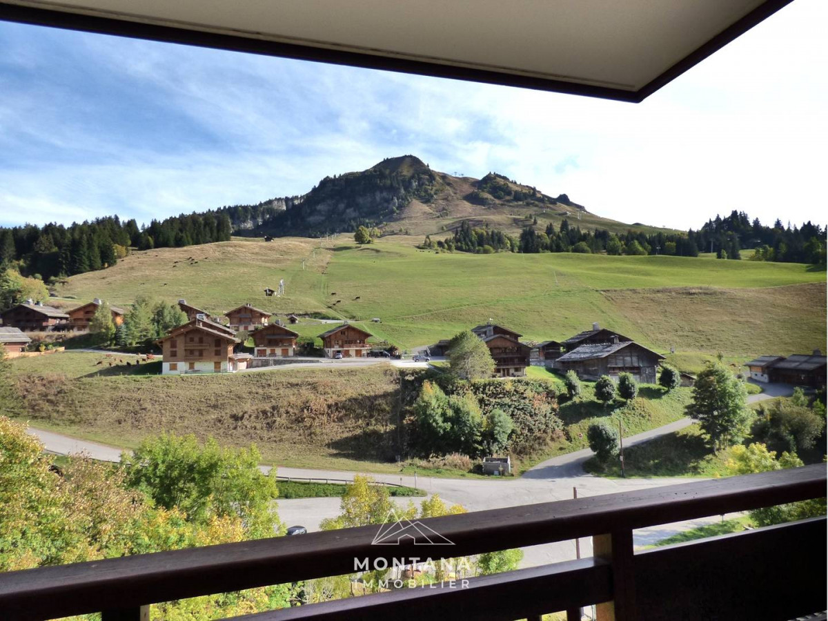 _clients_227445005_photos_251p_4896147