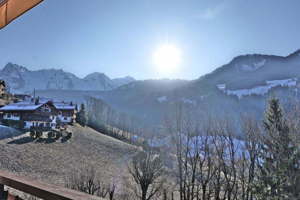 _clients_227445005_photos_255aa_5068904