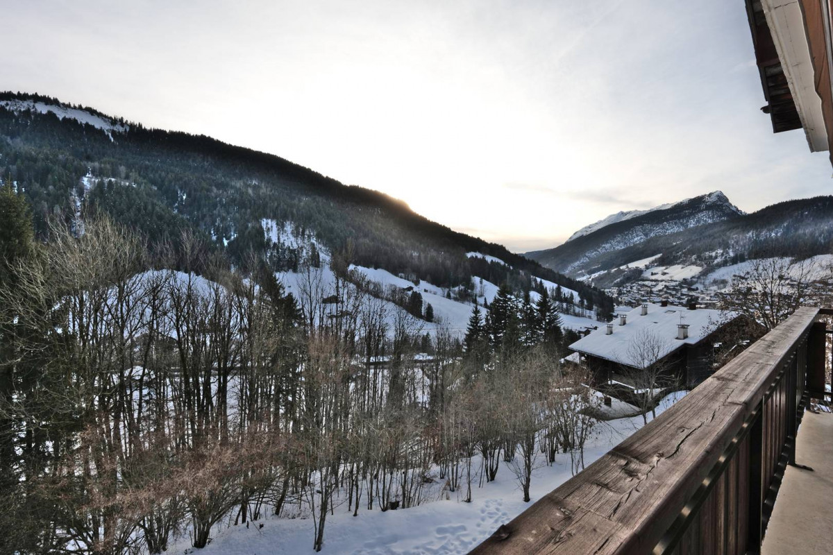 _clients_227445005_photos_255ad_5247724