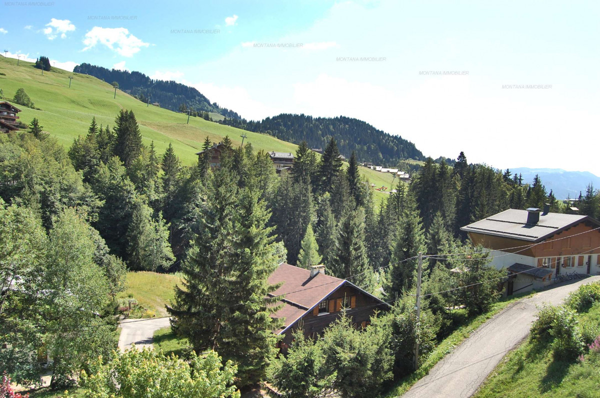 _clients_227445005_photos_29u_5414782 _clients_227445005_photos_29u_5414782