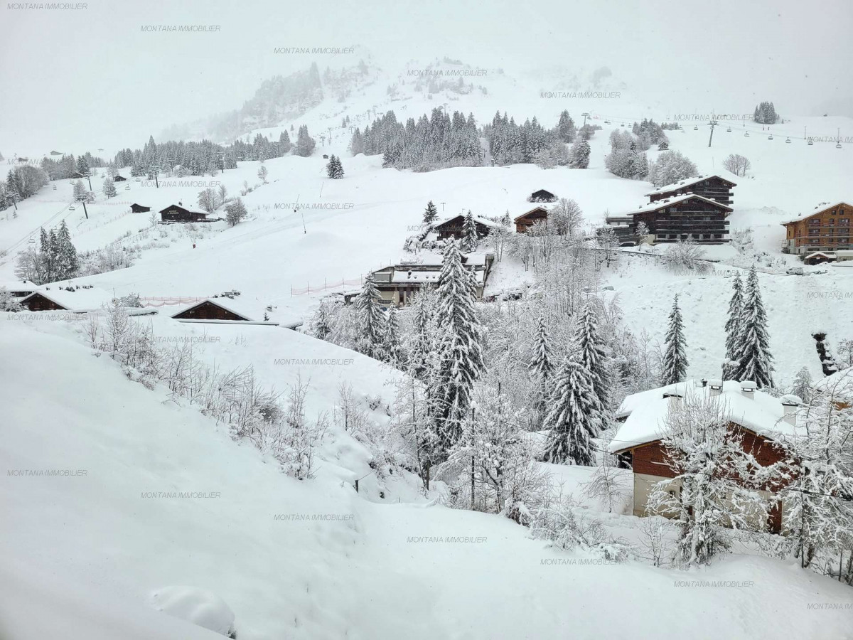 _clients_227445005_photos_29x_5202321