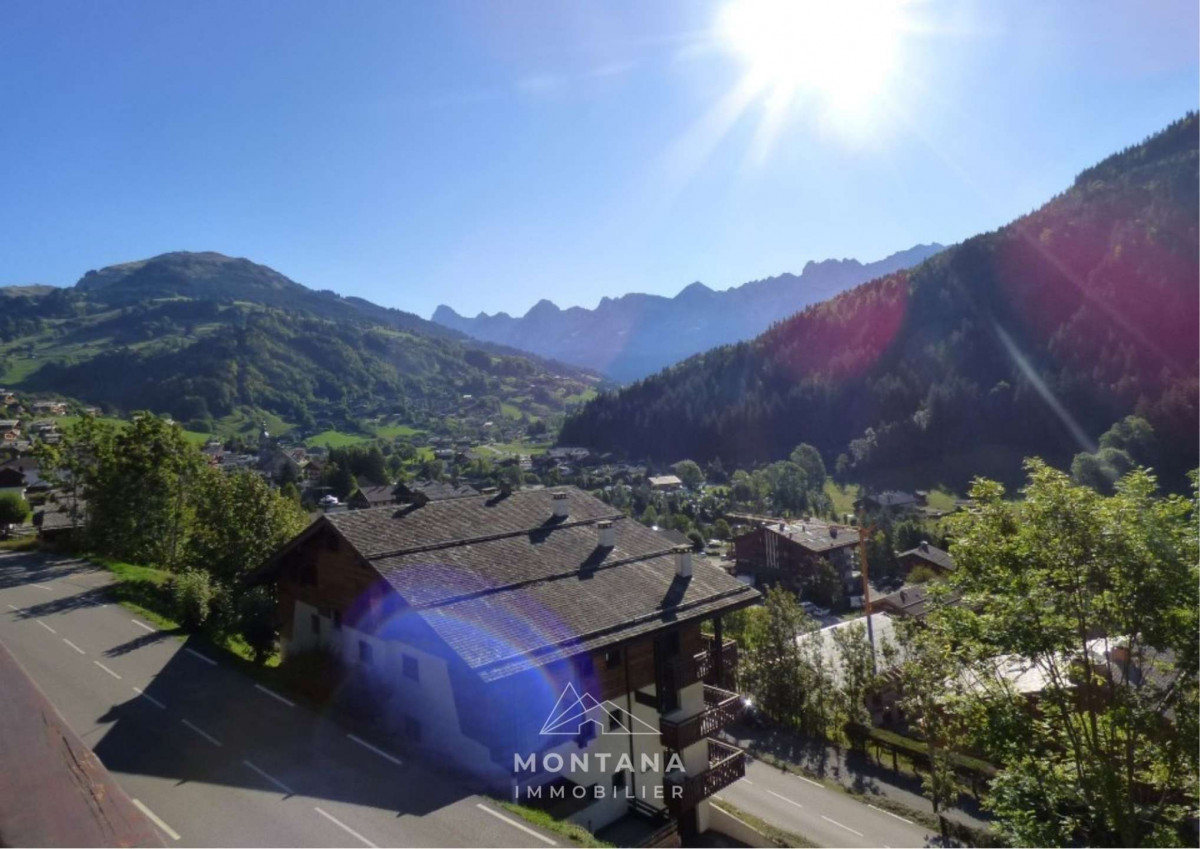 _clients_227445005_photos_46g_5337369