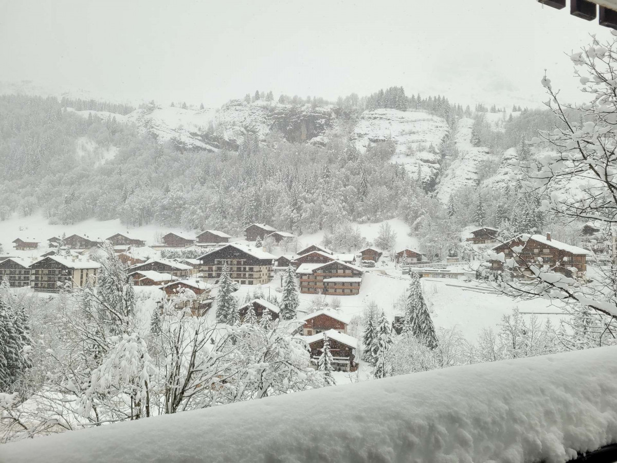 _clients_227445005_photos_54a_4878871 _clients_227445005_photos_54a_4878871