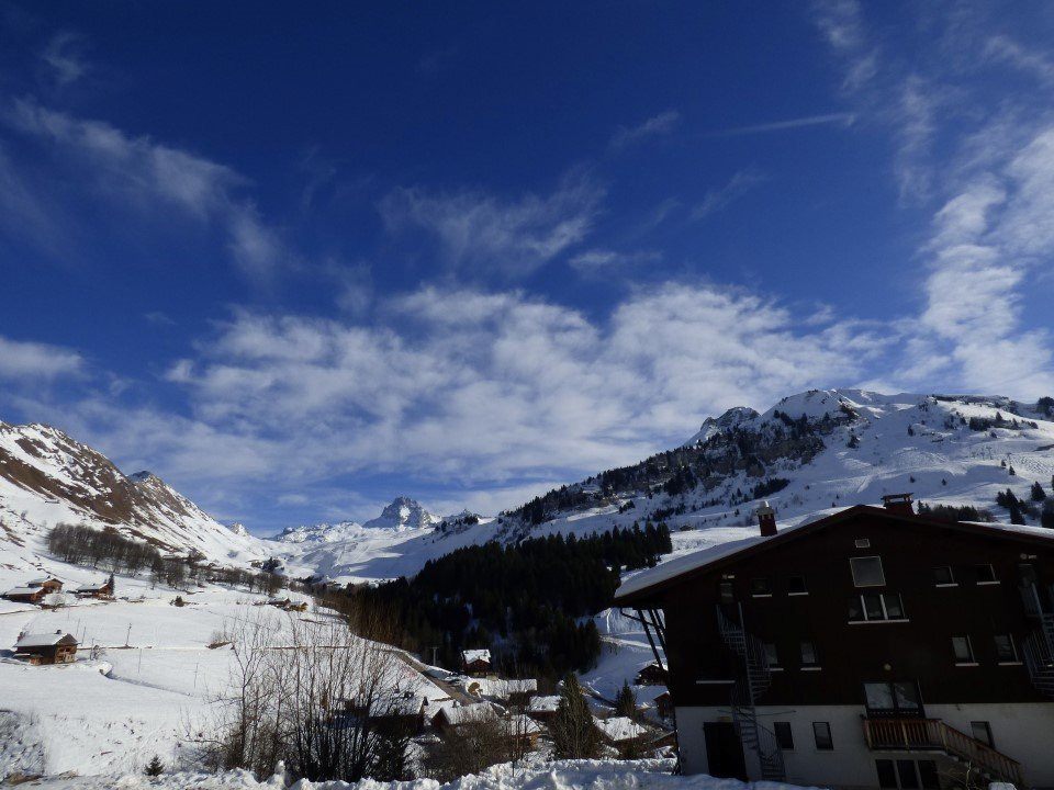 _clients_227445005_photos_56f_4686120 _clients_227445005_photos_56f_4686120