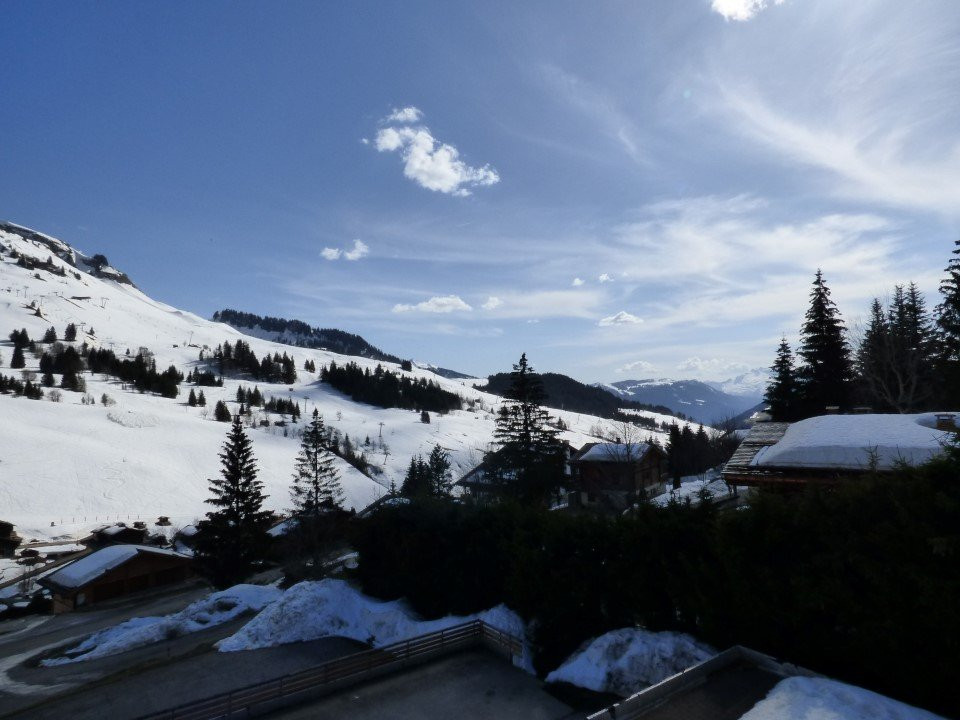 _clients_227445005_photos_56q_4686131 _clients_227445005_photos_56q_4686131