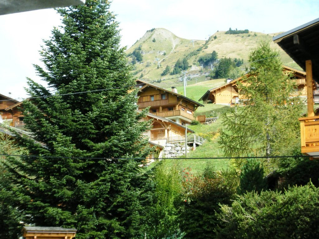 _clients_227445005_photos_57q_4918083