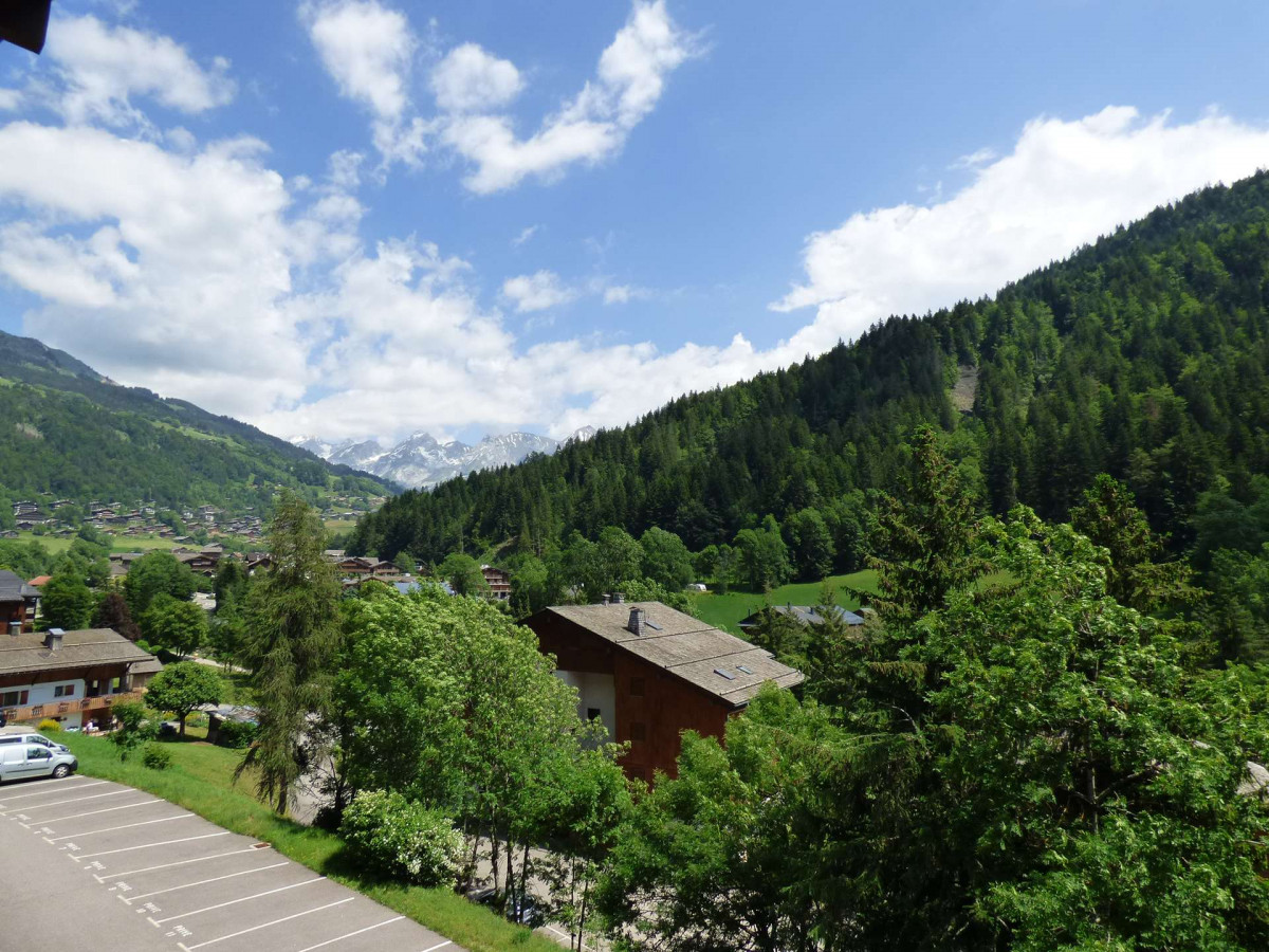 _clients_227445005_photos_59n_4760664 _clients_227445005_photos_59n_4760664