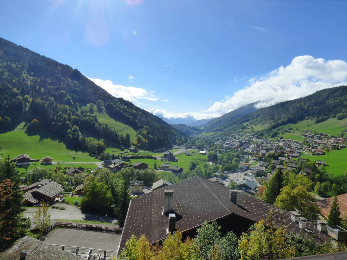 _clients_227445005_photos_95p_4682555