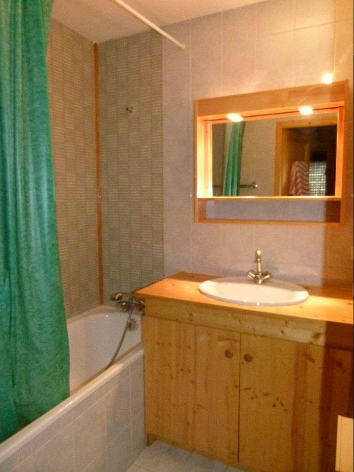 location appartement 2 pieces la combe des verts le grand bornand village