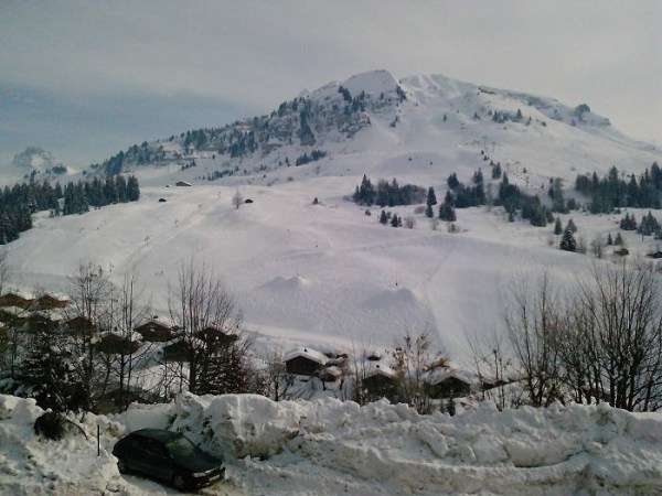 location appartement studio les roches fleuries le grand bornand chinaillon