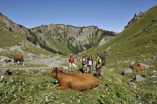 nature-paysage-1-9992