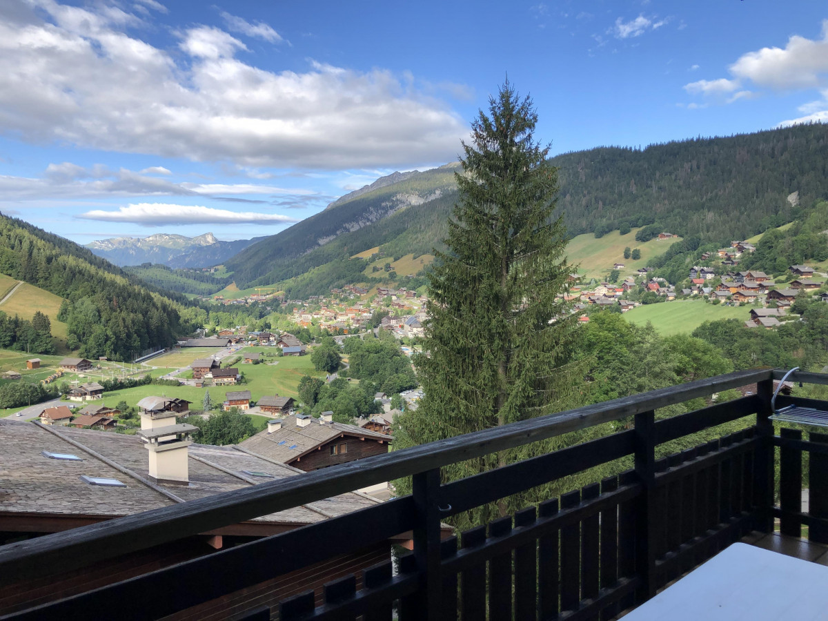 vue-balcon-t-4654207