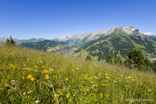 plantes-3745721