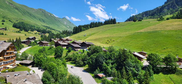 20240715-145746-4777619 20240715-145746-4777619