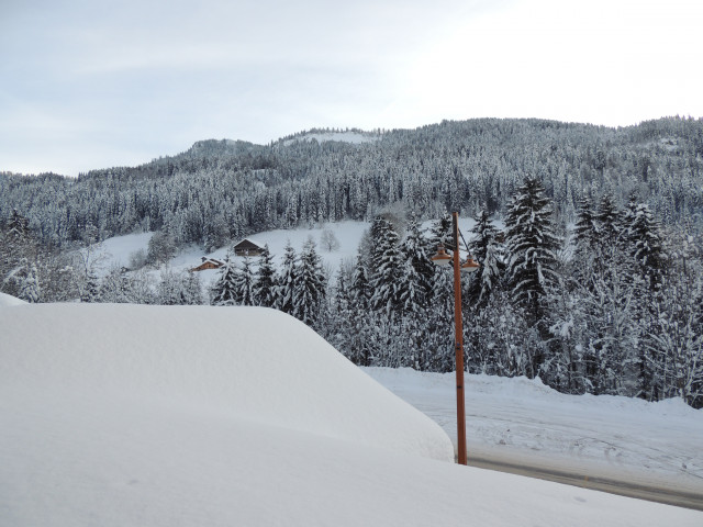 Vue depuis le balcon hiver/View from the balcony winter-Duche n°101-Le Grand-Bornand