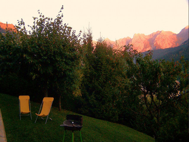 Pomme de Pin - © FARGES Annick Pomme de Pin