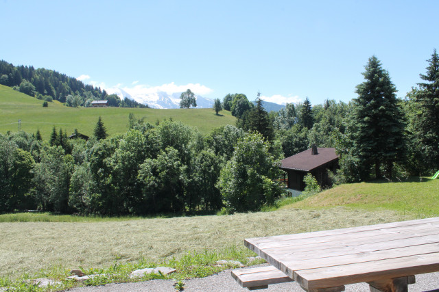 Jardin été/Summer garden-Fleur des Alpes n°5-Le Grand-Bornand Jardin été/Summer garden-Fleur des Alpes n°5-Le Grand-Bornand