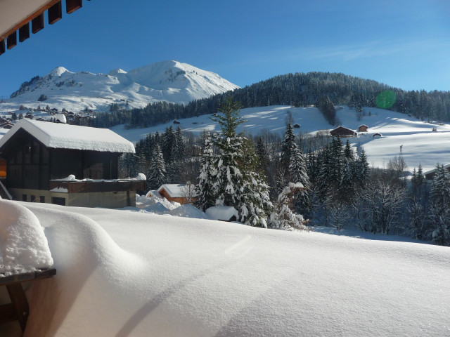 Vue depuis résidence hiver/View from the residence winter-Fleur des Alpes n°5-Le Grand-Bornand Vue depuis résidence hiver/View from the residence winter-Fleur des Alpes n°5-Le Grand-Bornand