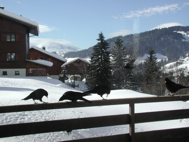 Piste Rouge A - © Belliot Piste Rouge A