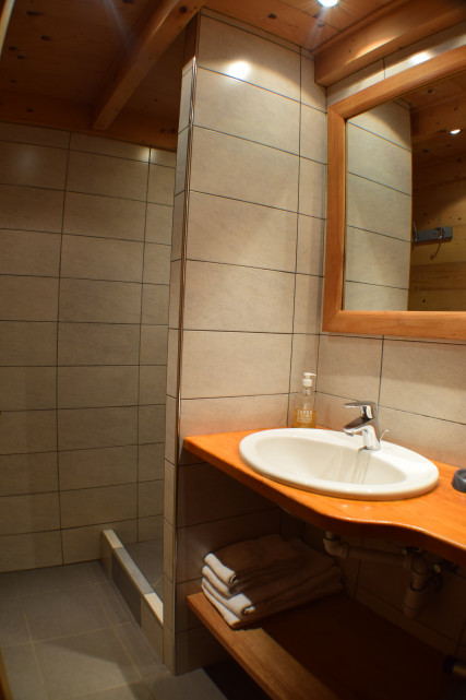 Salle d'eau Salle d'eau