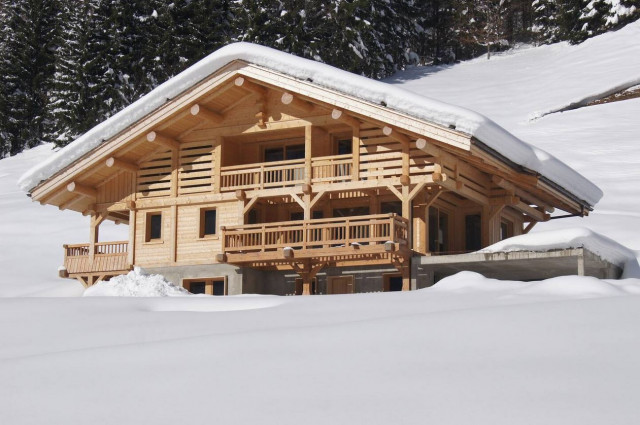 Chalet Hiver