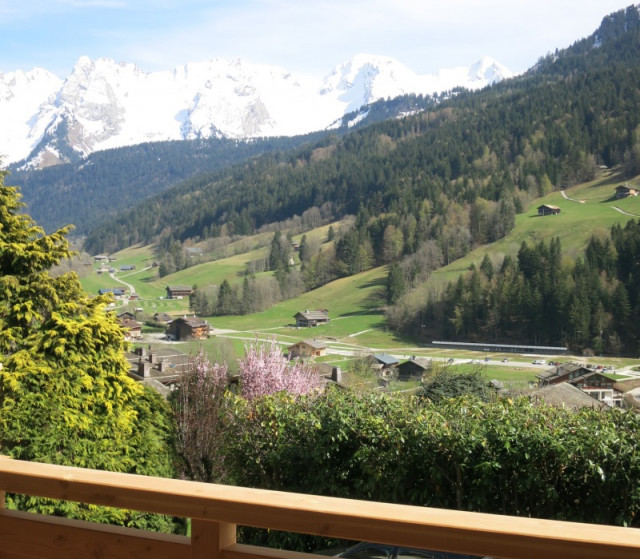 Vue depuis l'appartement été/View from the apartment summer-Boiseraie n°1-Le Grand-Bornand Vue depuis l'appartement été/View from the apartment summer-Boiseraie n°1-Le Grand-Bornand