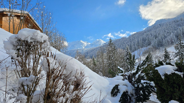 Duche n° 101_Le Grand-Bornand - © Deloche Christian Duche n° 101_Le Grand-Bornand