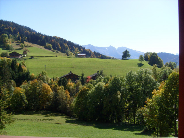 Vue depuis chalet été/View from the chalet summer-Fleurs des Alpes-Le Grand-Bornand