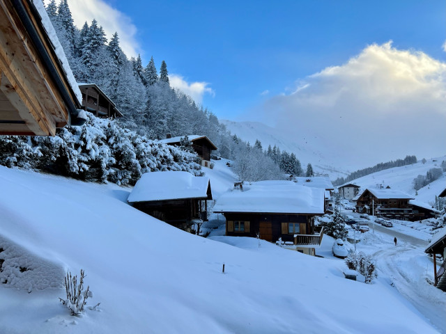 Chalet Les Bognettes