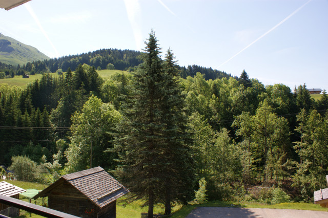 Vue du balcon été/ Summer view of the balcony - Touvière n°7 - Le Grand-Bornand