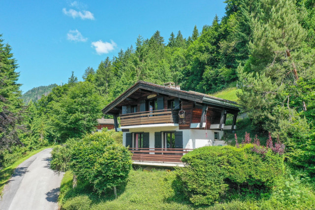 Chalet Solaire