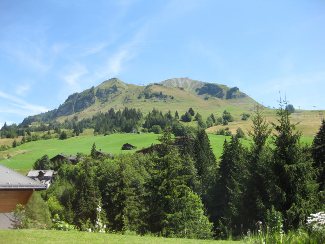 Vue