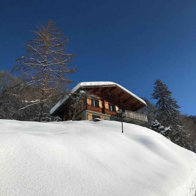 chalet