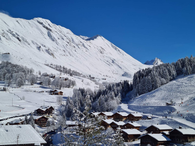 Chalets de l'Aiguille - Le Samantin_Le Grand-Bornand