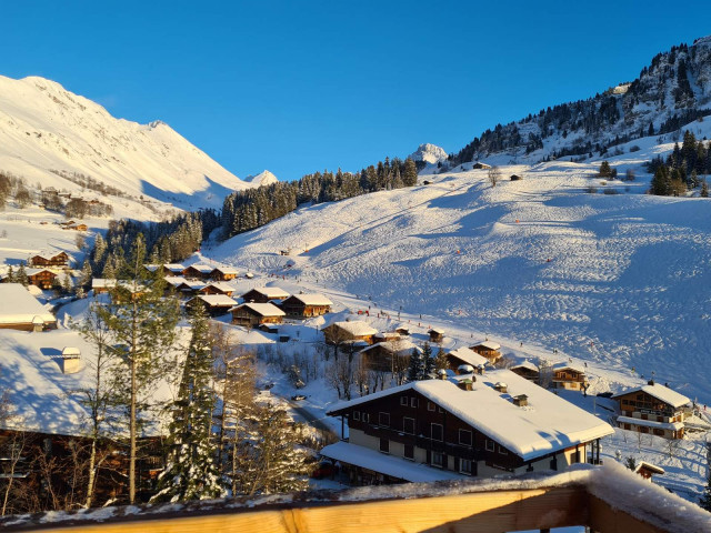 Chalets de l'Aiguille - Le Samantin_Le Grand-Bornand